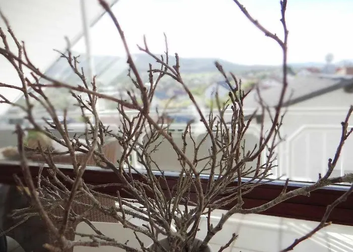 Haida Διαμέρισμα *